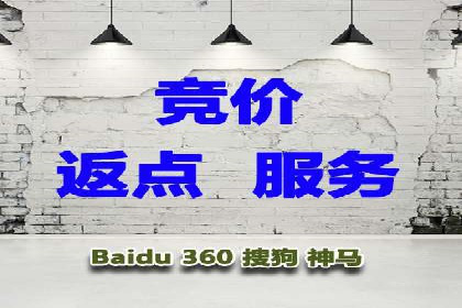 实战技巧：竞价推广案例解析与优化策略